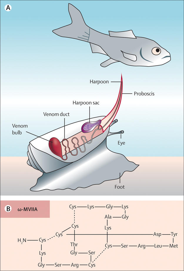 il micidiale arpione con cui il nostro 